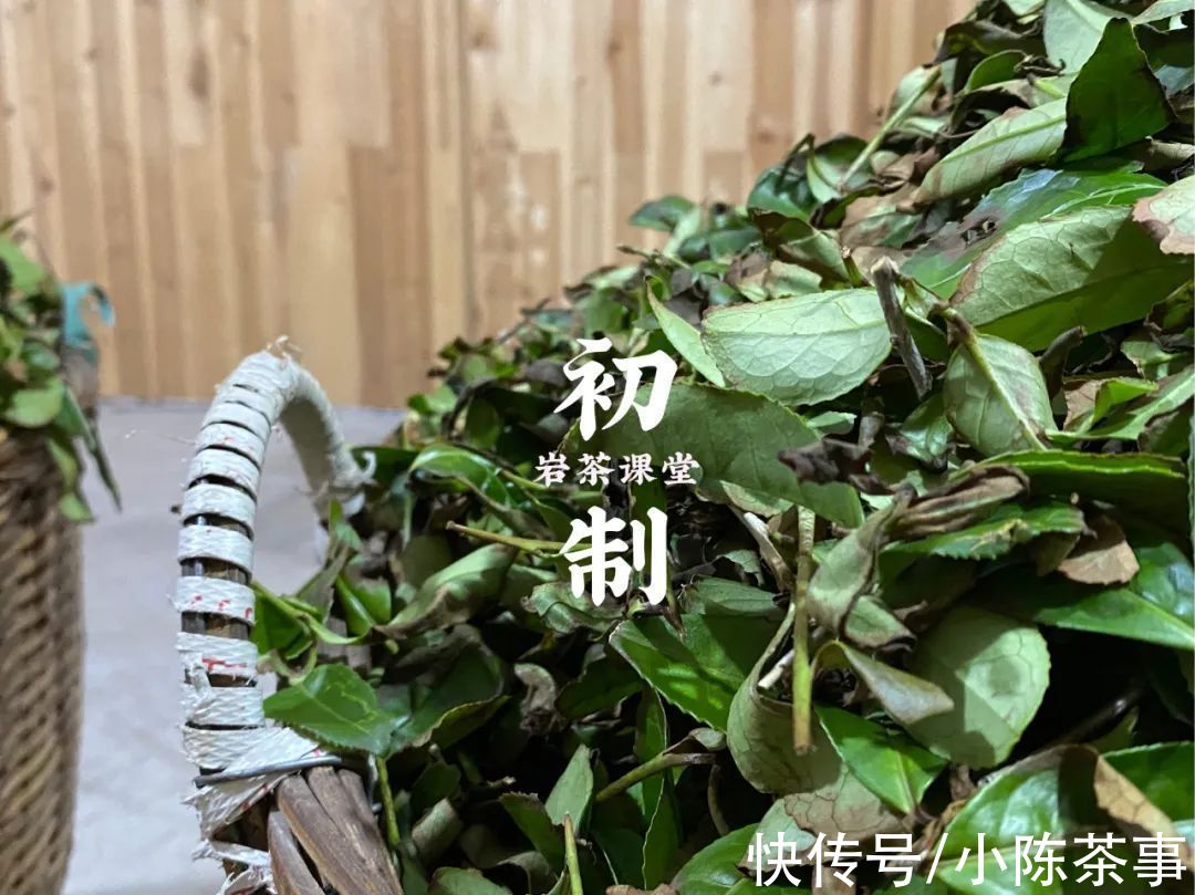 肉桂#30年前的岩茶是什么样的？从品种到火功，聊聊武夷岩茶的5大变化