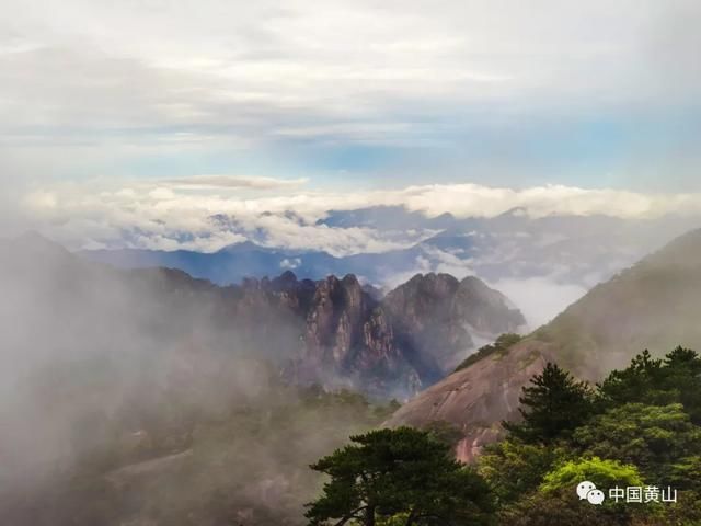 吴立新|云游雨后黄山 美景如画好似仙境