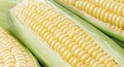 延緩衰老|多吃玉米益處多，但是3類人最好少吃，就怕你身在其中卻不知！