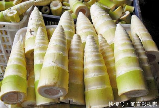  买竹笋，挑长的好还是粗的好？菜农：买错了难吃，浪费钱