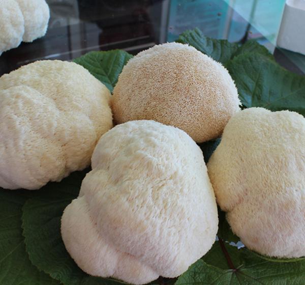 助长器|13岁男孩一年长高15公分，医生透露：1物是身高的助长器，可多吃