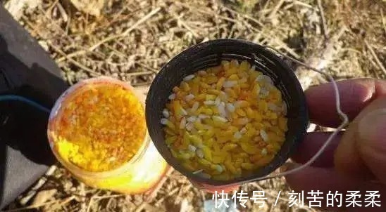 技巧|野钓大板鲫的黄金季节已到来,学会这些技巧,比黑坑都要钓的爽!