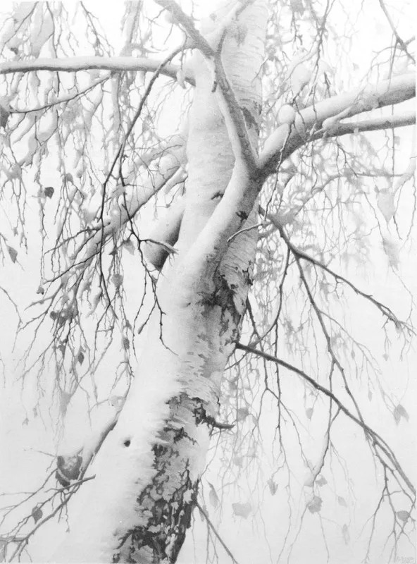 素描#乌克兰画家丹尼斯·切尔诺夫-头像、静物素描