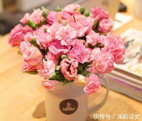 花海|4款花仙气十足,花量超多,容易开成花海,四季开花不停