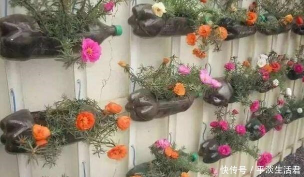 这些破烂不要扔,做成“小花盆”,个性又漂亮,比买的强“百倍”!