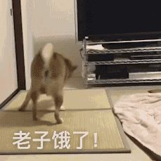 |搞笑图集:你们公司中秋发了啥?网友:发了个通知,说不放假