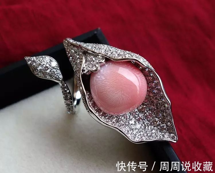 稀有品种|最珍贵的有机宝石,珍珠中的稀有品种,不了解它,就别说爱珍珠