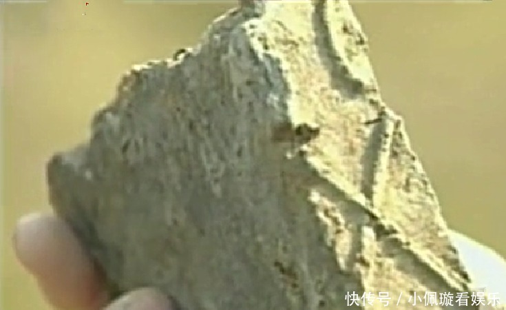 独有|才女入宫为妃,不料皇帝英年早逝,为解寂寞,她创下世界独有文字