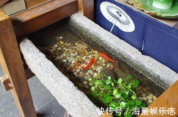 农村|农村人家里有这些老物件,可要好好保护,越来越有价值了