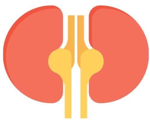 病因|慢性肾炎不能拖,身体若出现这几个征兆,建议尽快检查就医