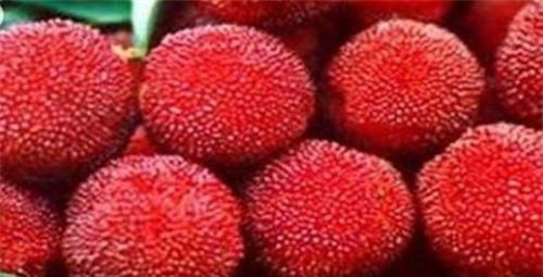 女性过了30岁，不妨多吃3种食物，舒筋活络，促进血液循环