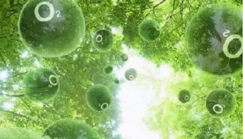 氧气真是越多越好？如果地球上全是氧气会怎样？科学家：会很可怕