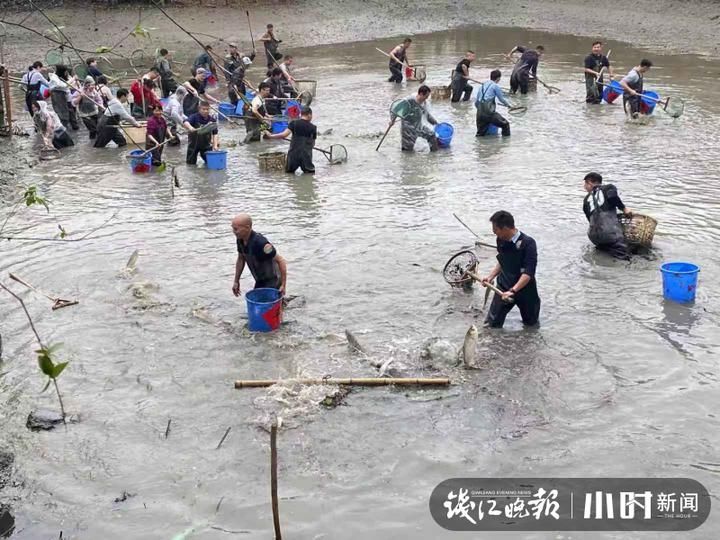 干塘|双溪合璧后的首场西溪干塘节，现场喝鱼汤吃鱼圆鱼冻 ，鲜到眉毛都要掉