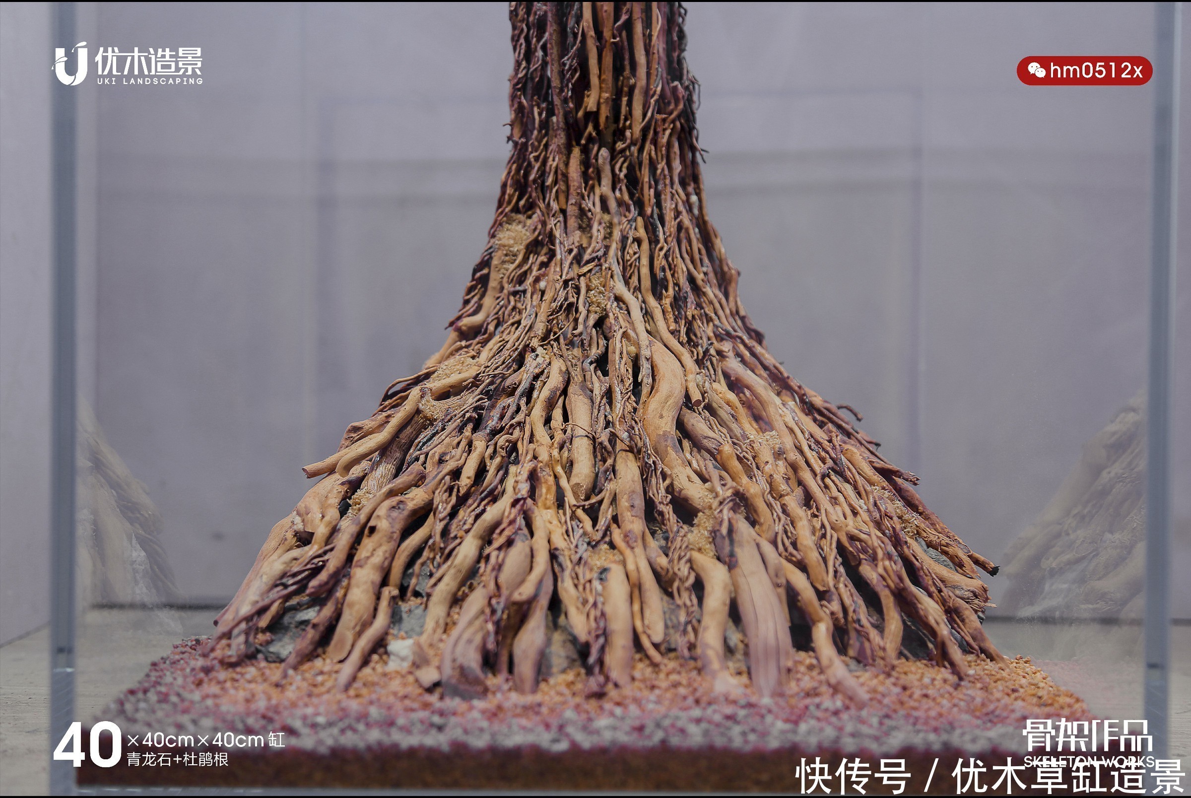 闲说几句,再来看四零方缸的生命之树的草缸造景骨架