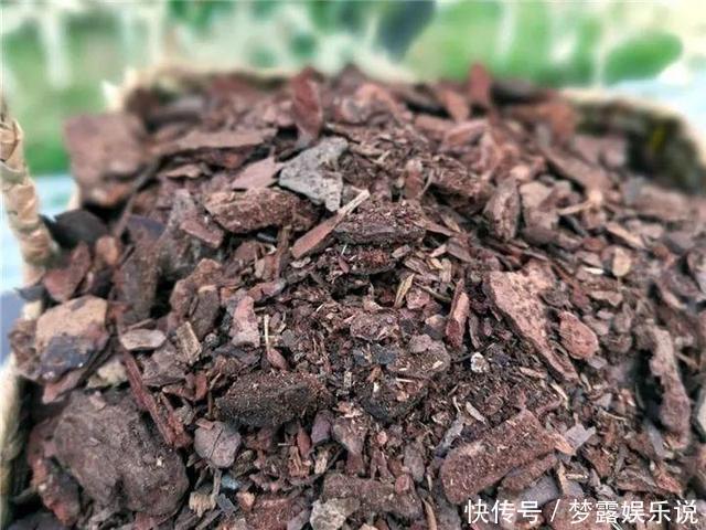 土里拌点它,轻松变成酸性土,养花不黄叶!