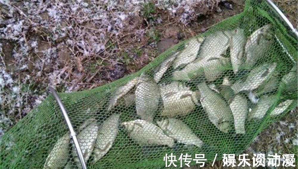 天气|初冬钓鱼,天气钓位才是根本,牢记3不选3不钓,天冷也不空军!