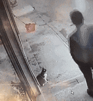 |搞笑GIF:你永远猜不到 美女的那些照片是怎么拍出来的