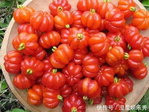 长相似南瓜,失眠的人吃上几粒很好,市场卖20元一斤,可种植吗