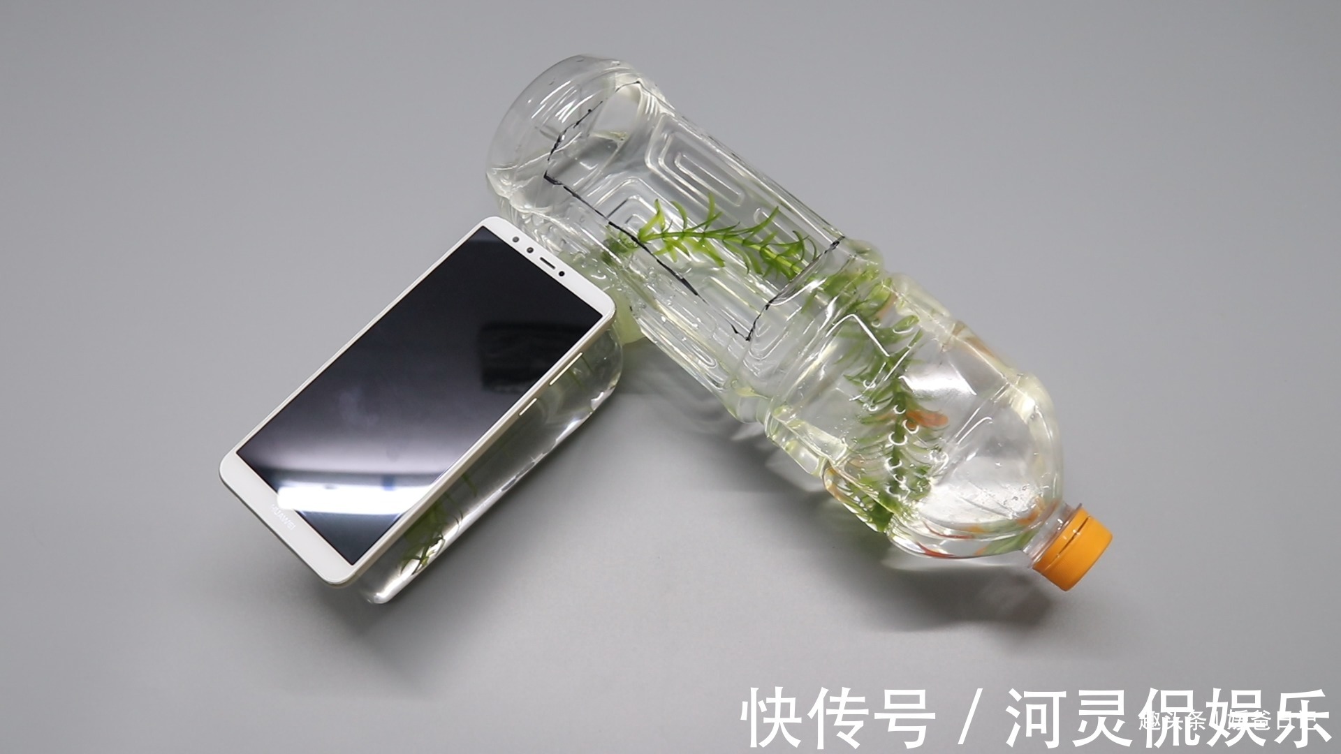 鱼缸|塑料瓶卖了不值钱，可以用来制作鱼缸，锻炼下孩子的动手能力