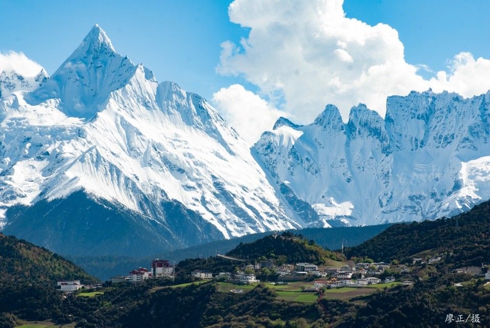 空中花园|绝处逢生 探秘高山上的植物乐园