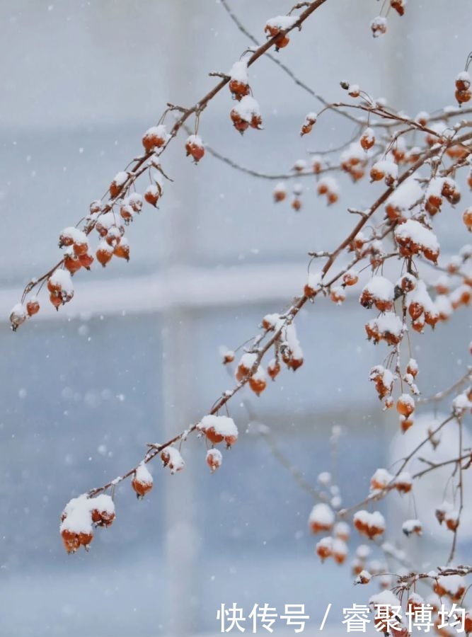 漫天寒凝洗尘襟，大外与你共风雪