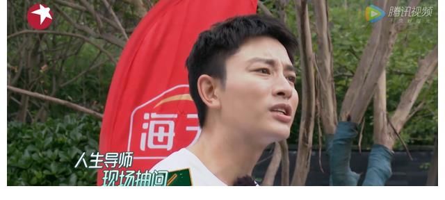 李沁|陈志朋上综艺不受待见，秦昊黄明昊拒与其组队，原因与过气无关