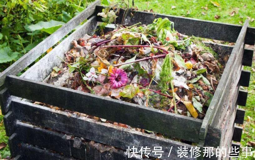 自制肥|喜欢养花,夏季就抽点空自制肥,闷2、3个月就能用了