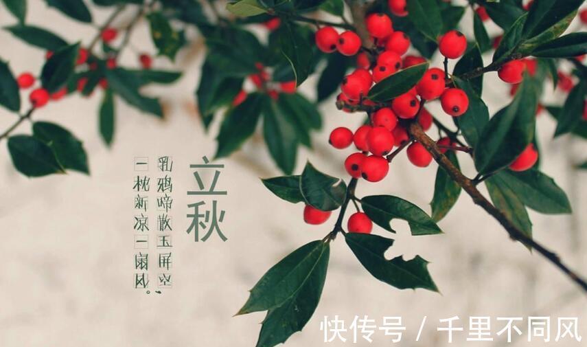 银耳梨汤|立秋后，5种蔬菜要常吃，既便宜又能消暑秋燥，营养也很丰富