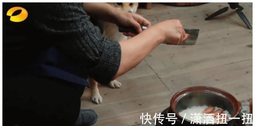 何炅从地上捡起小H叼的肉，打算洗洗煮了吃，张艺兴的做法好耿直