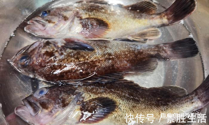 码头|不管炖啥鱼,别加料酒和醋去腥,教你1招,鱼肉鲜香,汤白不腥气