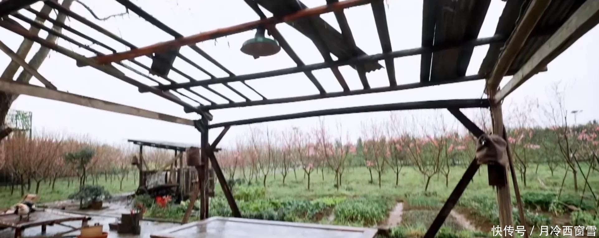 《向往的生活5》前四季豪华蘑菇屋,张艺兴新加入为啥这么寒酸?