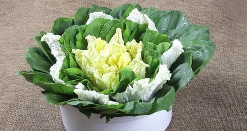 蔬果类|3种食物或是“天然雌激素”，老得快的女人，不妨常吃