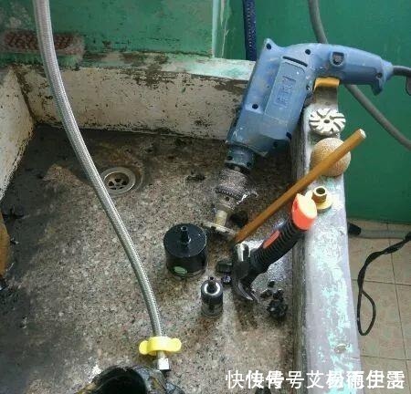 石头|大爷用石头来养花,越养越值钱,有人出1000块也不卖!