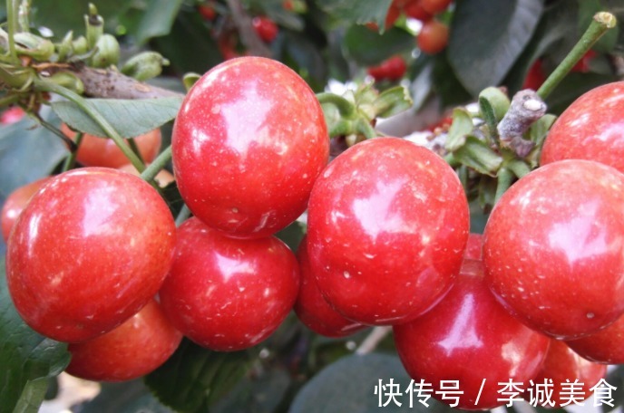 山竹|夏季，这3种碱性水果要多吃！别舍不得花钱，营养美味清热解暑！