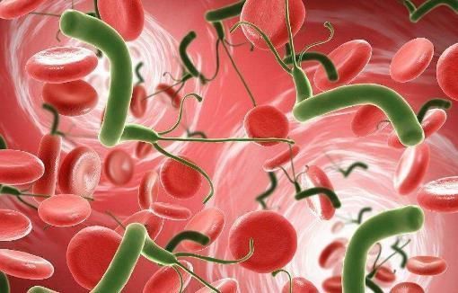 好转|幽门螺杆菌“很怕”一种水,每天一杯,杀菌消炎,胃病或会好转