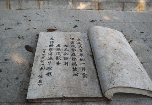  林徽因|徐志摩和林长民是忘年交，却因林徽因，老死不相往来，他做得对吗