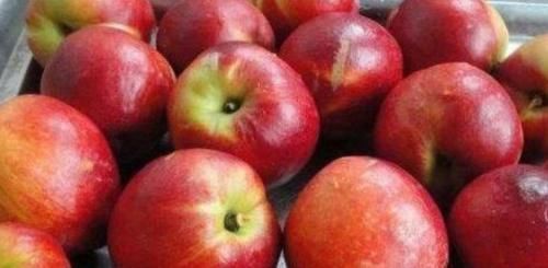 孩子们|爱美的女人做梦都想年轻10岁,多吃3种食物,排毒清肠,皮肤水嫩