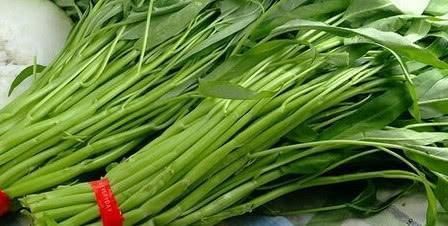 它是菜市场常见的蔬菜，多数人只知道别名，学名见到了也不会念