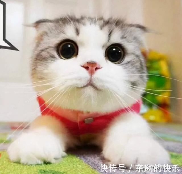 |幽默笑话:二十八了还没有找到女朋友,老妈气得强迫着我去相亲