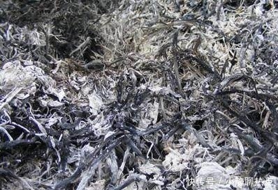 在花盆里撒点它,盆栽植物花卉蔬菜,20年都健壮不生病!