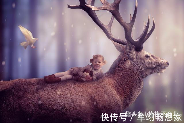 发育期|宝宝为什么喜欢揪妈妈的头发明白缘由后,你还舍得凶他吗