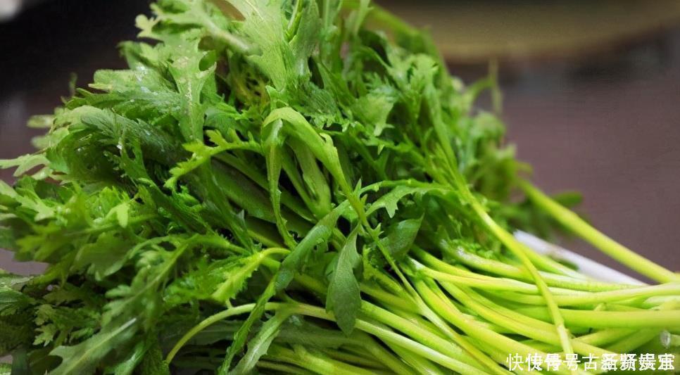 蔓越莓|长寿老人最爱吃3种食物,增强抵抗力,有益健康