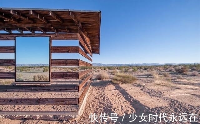 照片$30张“活久未见”的照片:被闪电击中的木头,好像一副国画