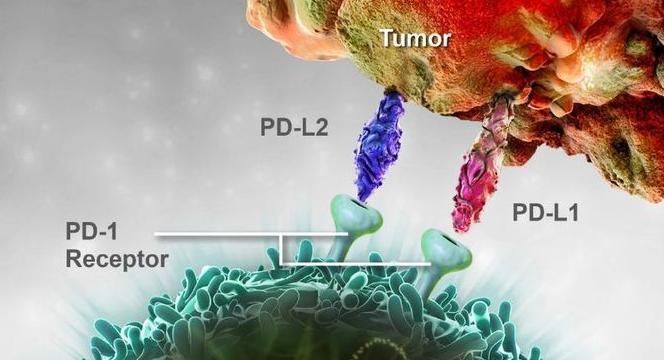 fd请注意,肺腺癌只有符合此类条件才首选免疫治疗,死亡率降低13