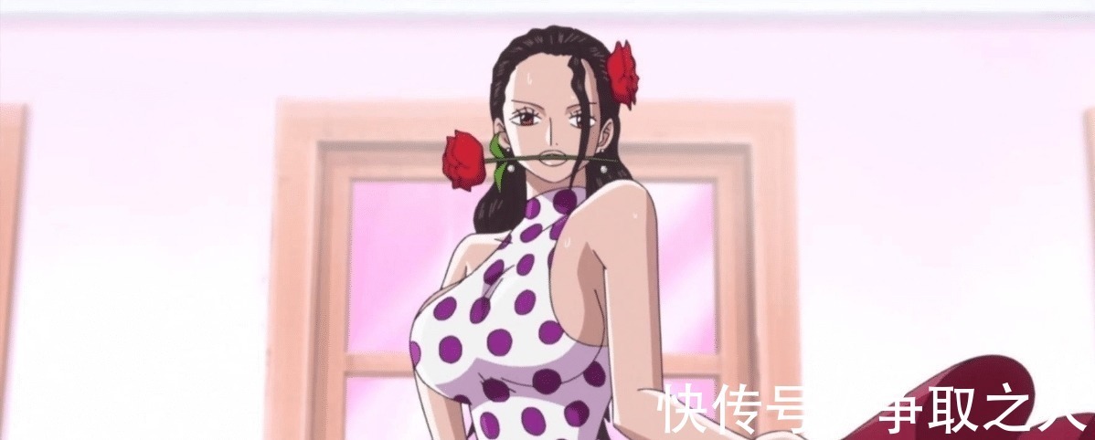 美女公主|颜值惊人!海贼王中七大美女公主,薇薇最受欢迎,蕾贝卡最具争议