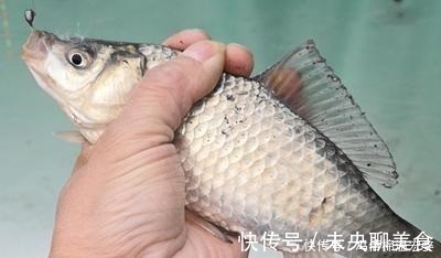 冬季传统钓上鱼多,朝天钩的功劳多,解析朝天钩在冬钓的优缺点