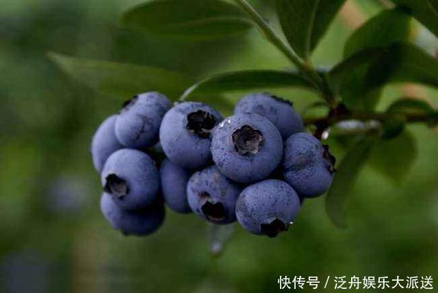 延缓衰老|女人开始衰老，有3个表现！少吃3物，多做3事，延缓衰老，更年轻