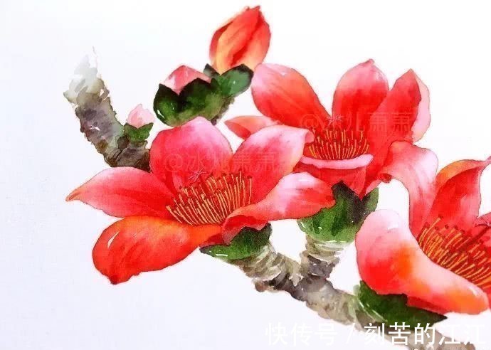 花瓣@水彩这样画,也太美了吧!居然把花瓣画出透明的感觉,看完忍不住保存!