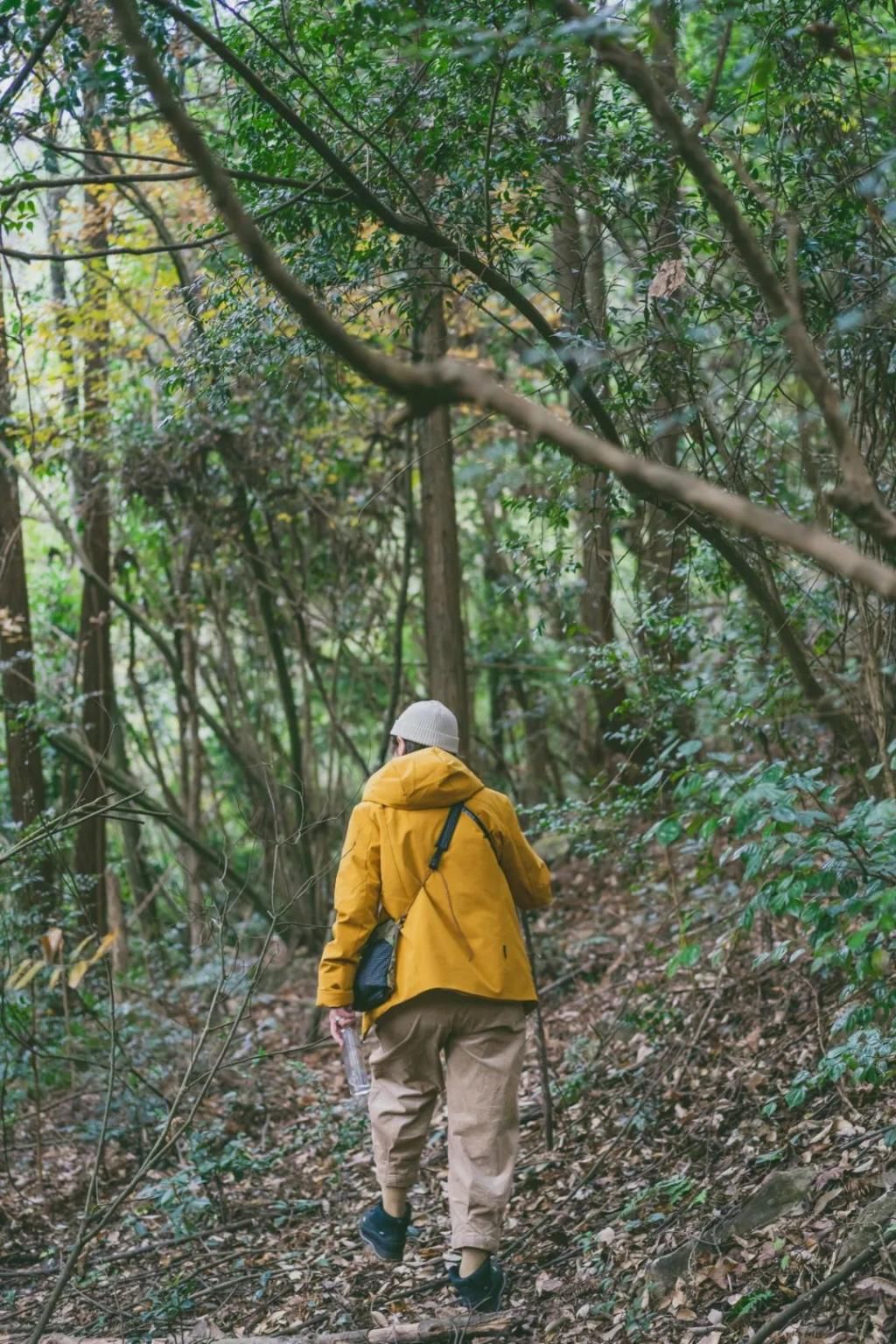 这次千岛湖露营徒步之旅，让我解锁了轻户外的全新打开方式