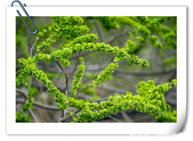 趣事|两亿多80后的童年趣事之美食篇